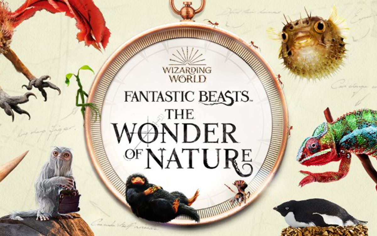 fantastic beasts™: the wonder of nature-0 fantastic beasts™: the wonder of nature-0