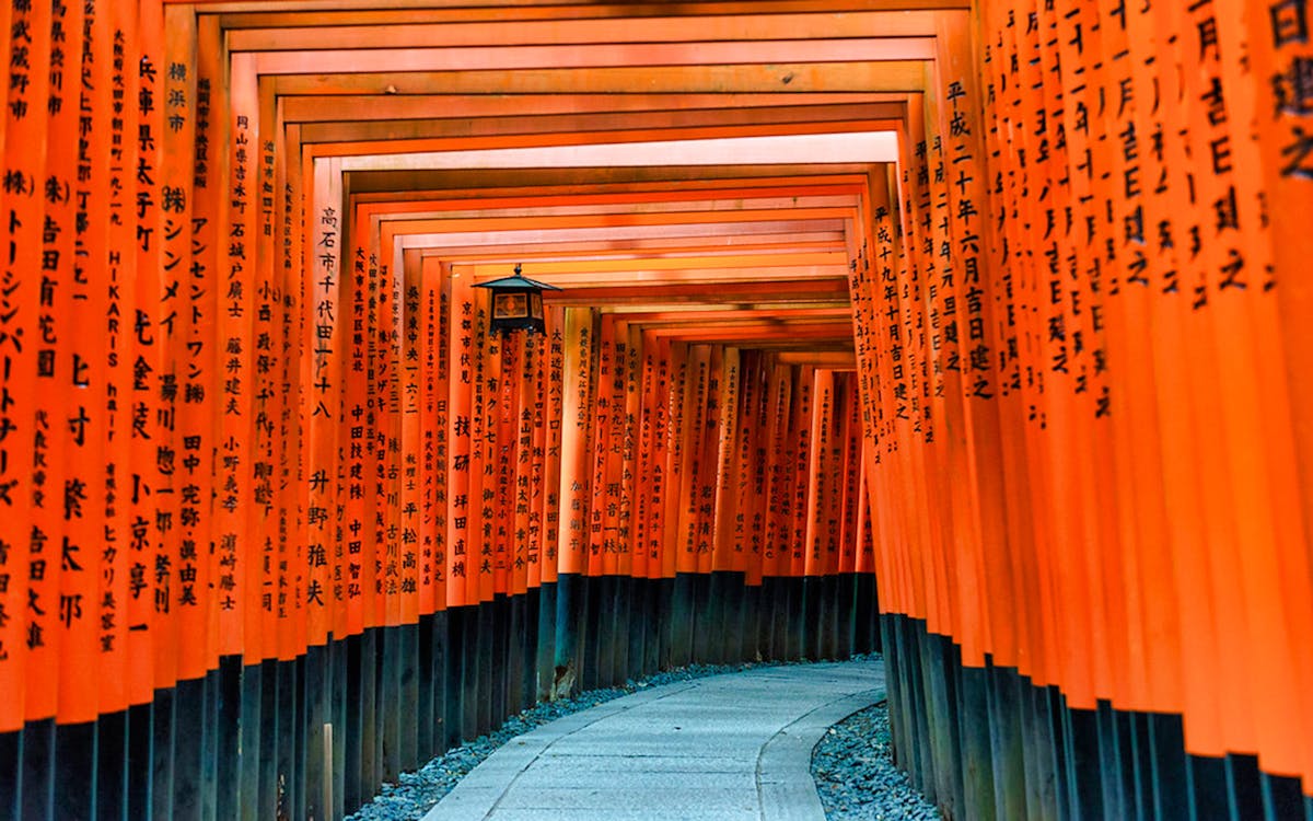 kyoto sightseeing afternoon tour-0 kyoto sightseeing afternoon tour-0