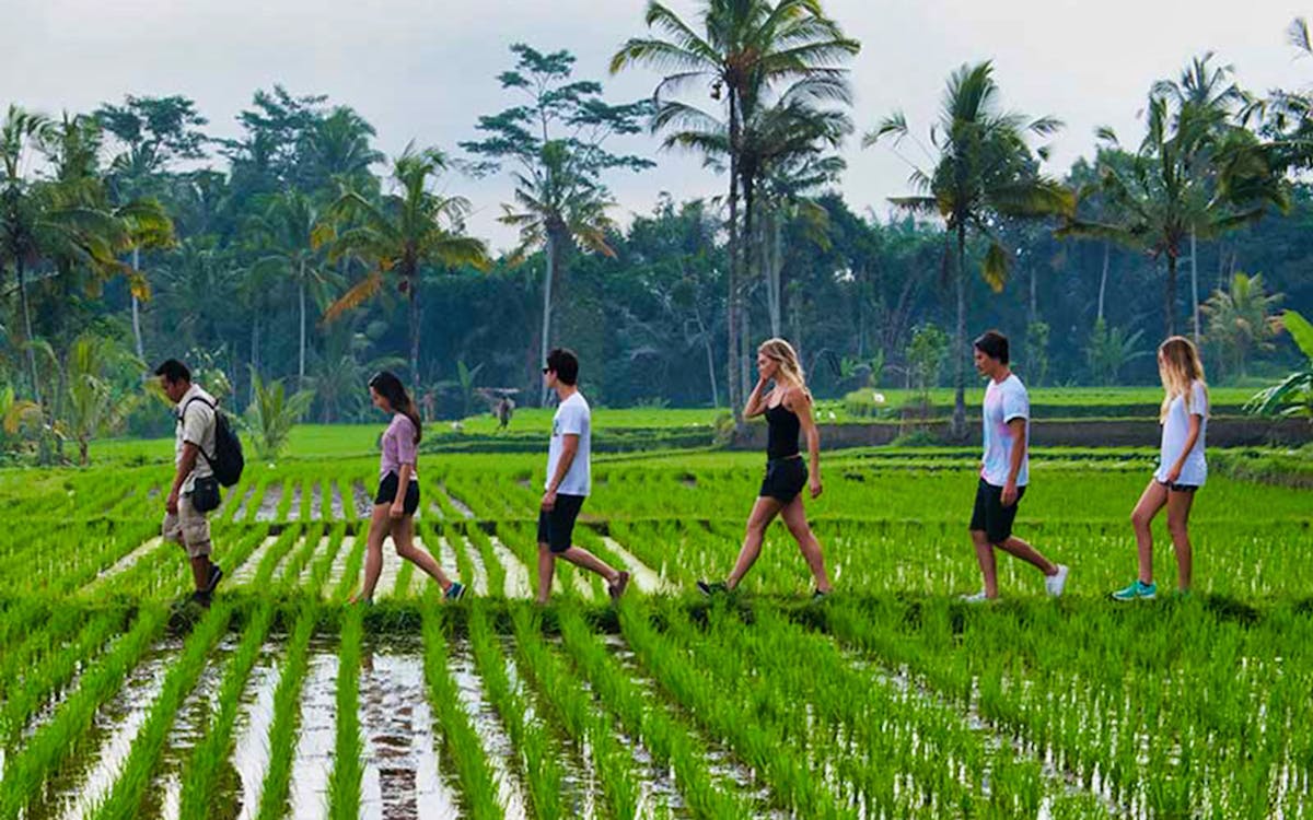 tropical trekking at taro village by mason adventures in bali-1 tropical trekking at taro village by mason adventures in bali-1