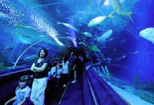Aquaria KLCC Kuala Lumpur