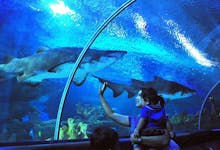 Aquaria KLCC Kuala Lumpur