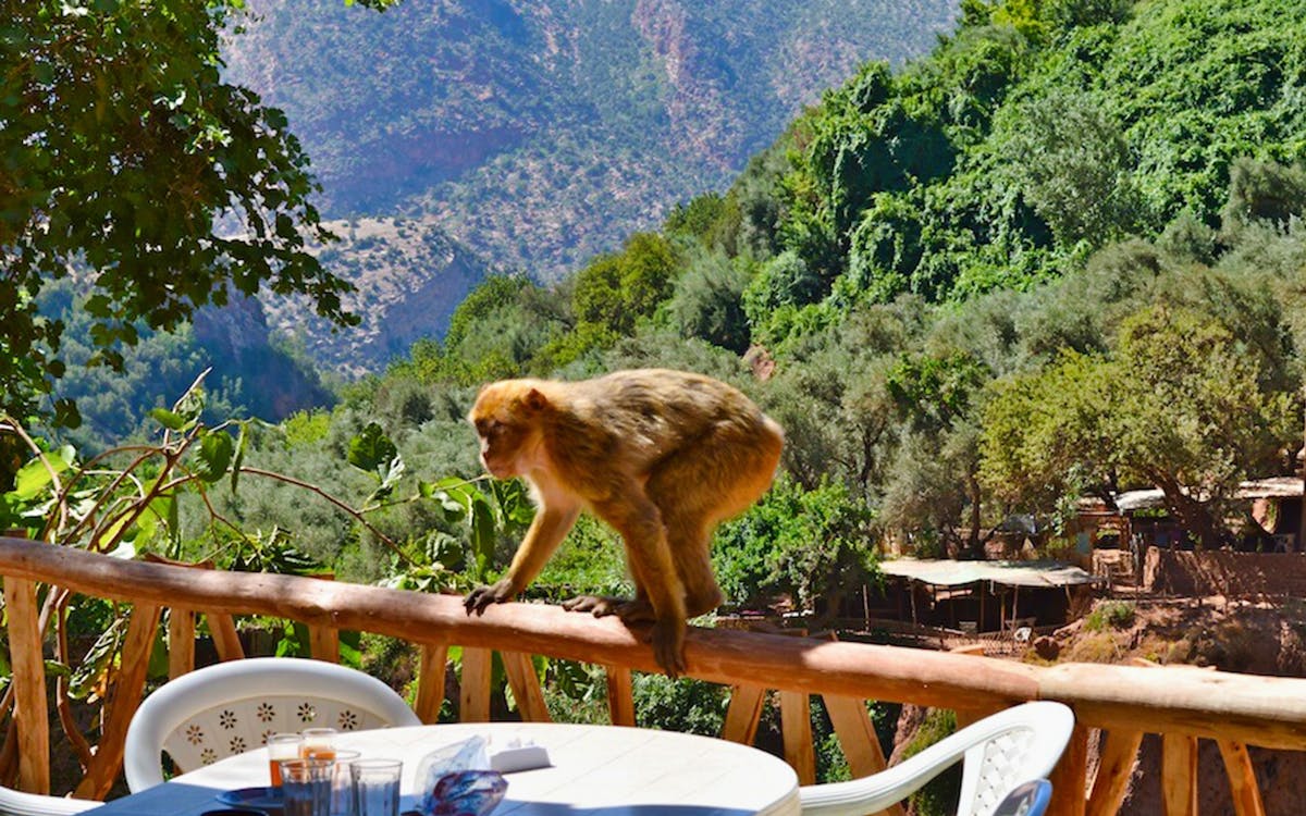 ouzoud waterfalls day tour from marrakesh-0 ouzoud waterfalls day tour from marrakesh-0