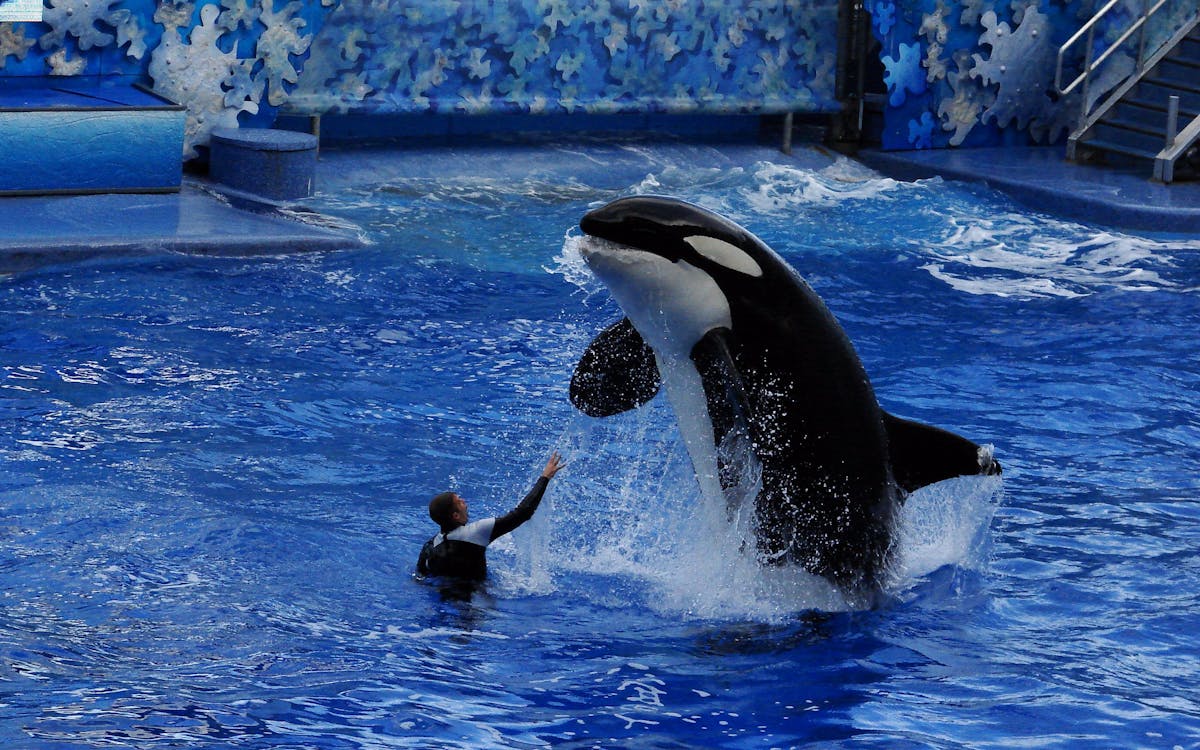 seaworld & aquatica combo-1 seaworld & aquatica combo-1