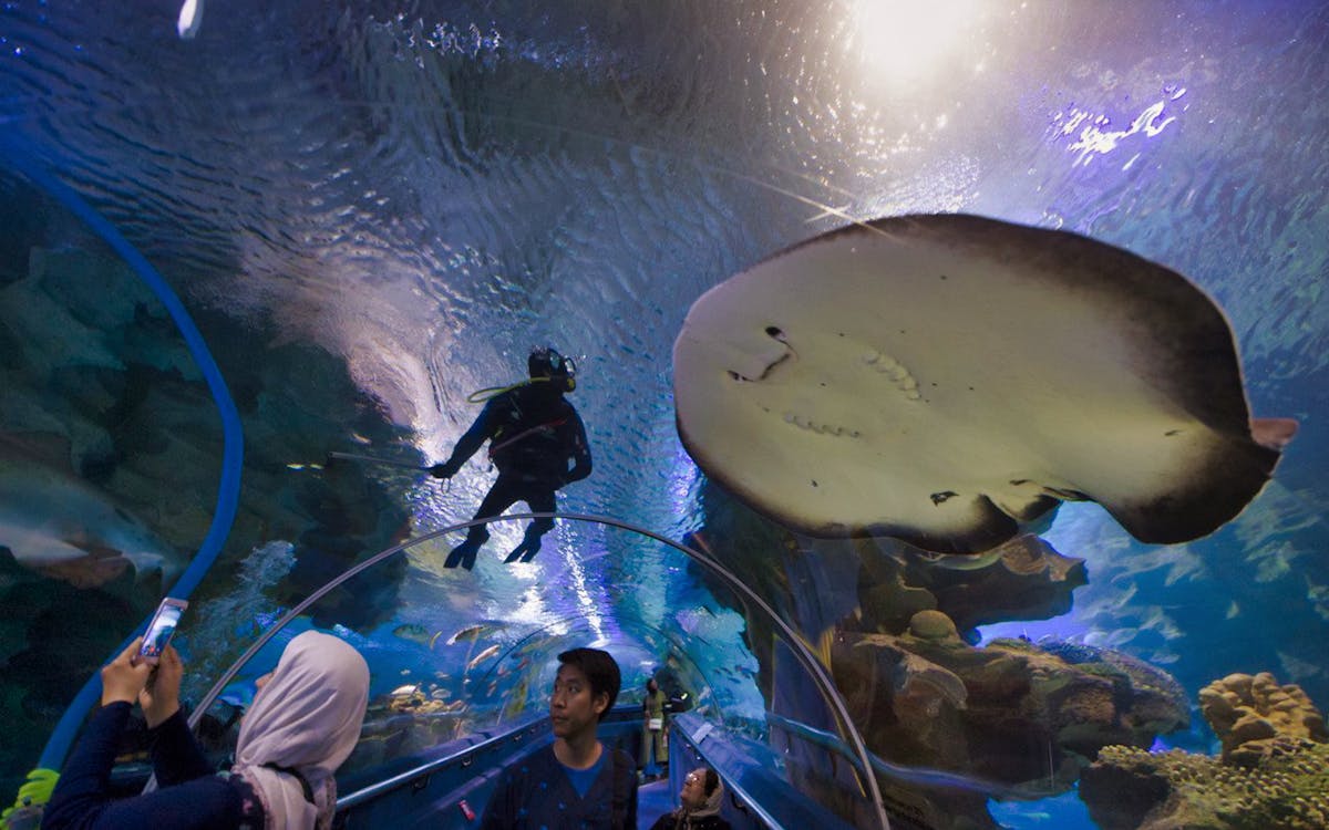 petronas twin towers & aquaria klcc admission ticket-0 petronas twin towers & aquaria klcc admission ticket-0