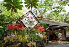 National Orchid Gardens Singapore