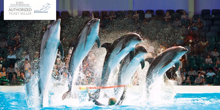 Dubai in September-dubai dolphinarium