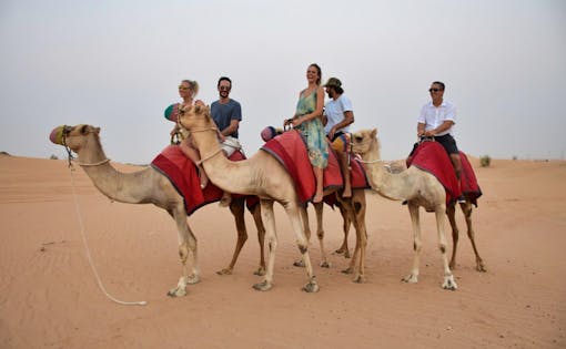 Romantic Dinner Desert Safari