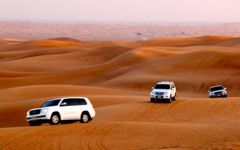 morning desert safari half day tour-0 morning desert safari half day tour-0