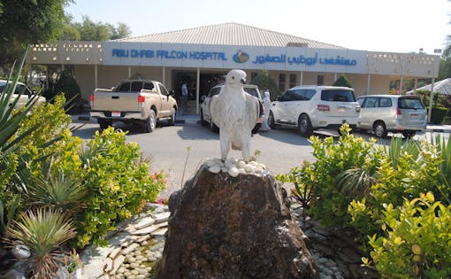 Falcon Hospital Tour