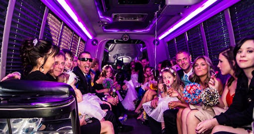 Party Bus Express