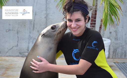 Sea Lion Discovery