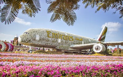 Miracle Garden Ticket with Transfers