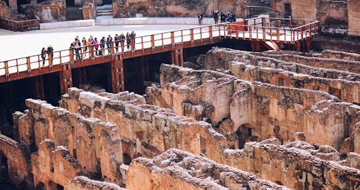 VIP Colosseum Underground Tour with Arena, Palatine Hill & Roman Forum
