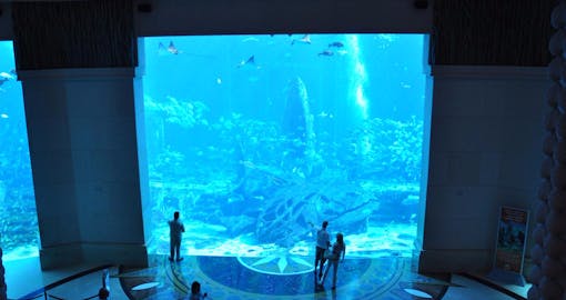 The Future of Dubai City Tour with Optional Burj Khalifa