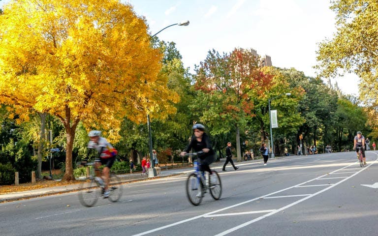 central park & bike-0 central park & bike-0