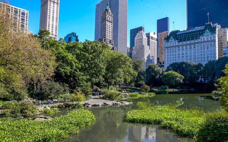 central park tour on a bike-0 central park tour on a bike-0
