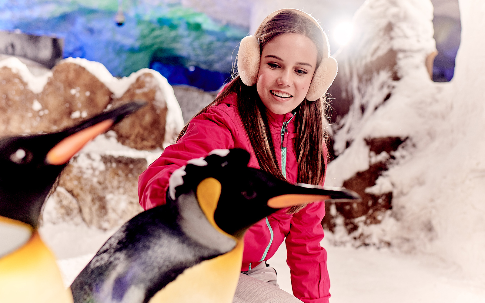 Ski Dubai: Penguin Encounter
