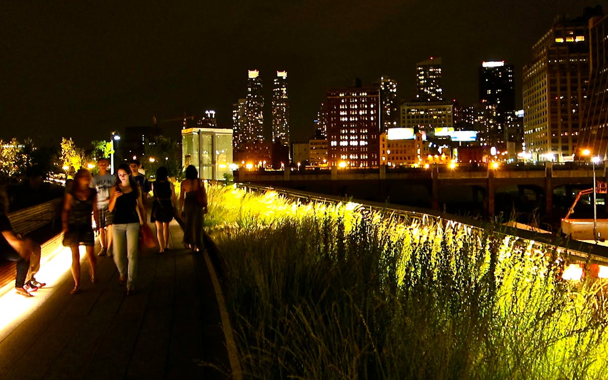 night on the town - city tour-0 night on the town - city tour-0