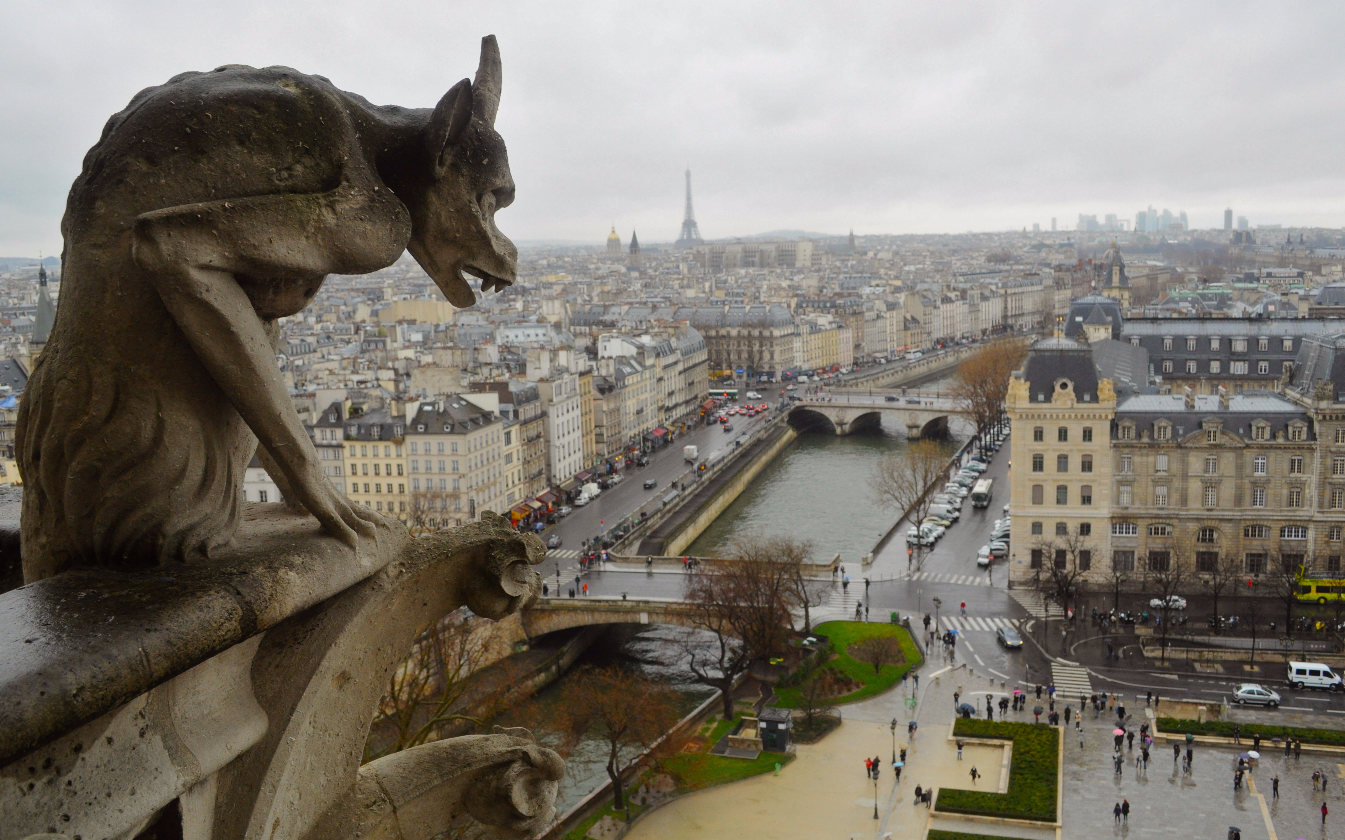 Visite de la Cathédrale Notre-Dame et Accès coupe-file aux Tours