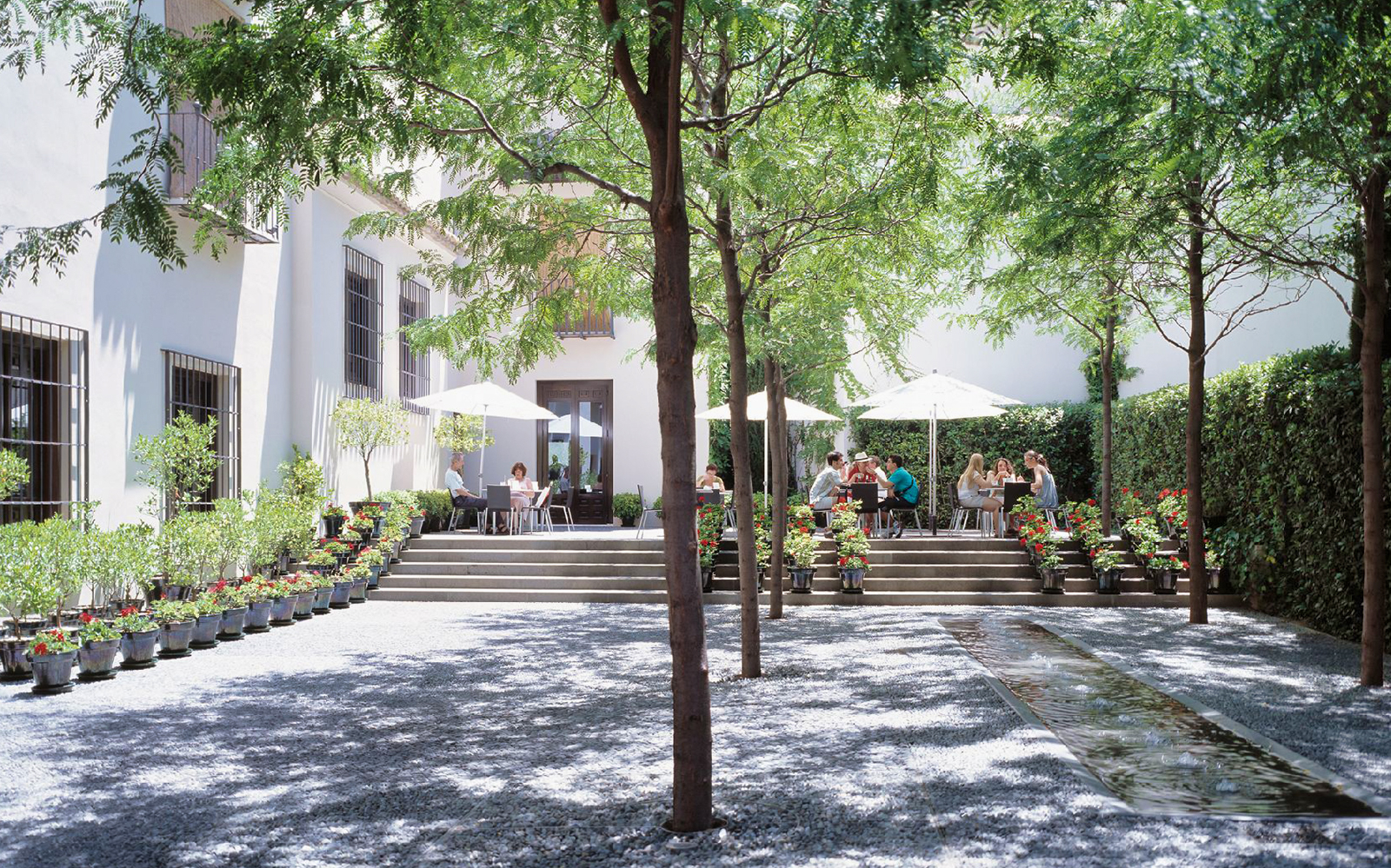 entradas museo picasso malaga