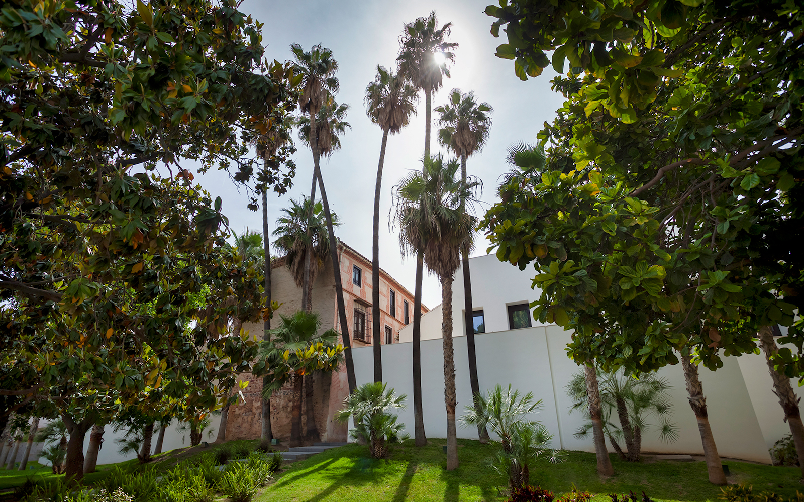 entradas museo picasso malaga