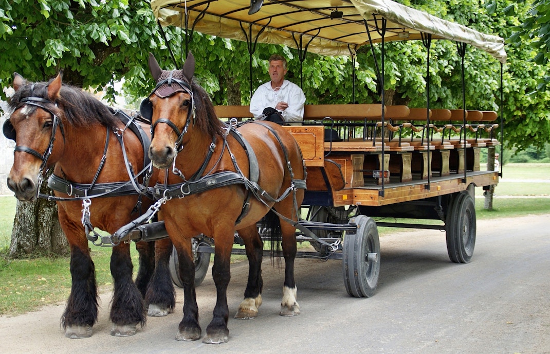 Biglietti per il Castello di Chambord - le scuderie