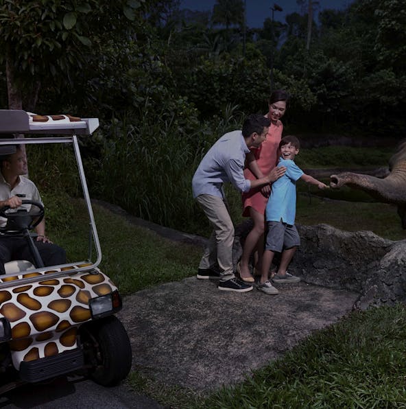 All you need to know about Night Safari Singapore