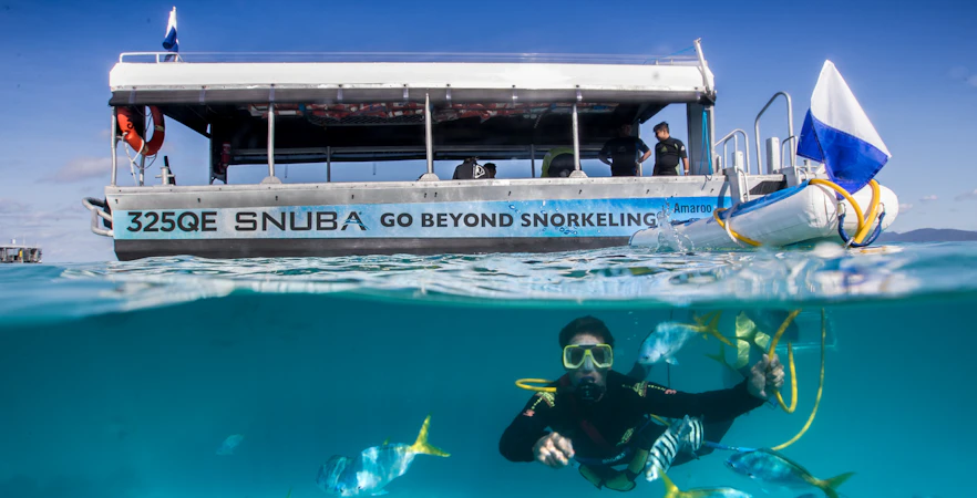 Snuba diver exploring underwater near Green Island with fish and tour boat above.