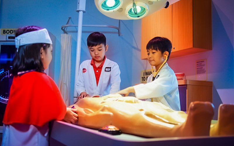 Children exploring interactive human body exhibit 