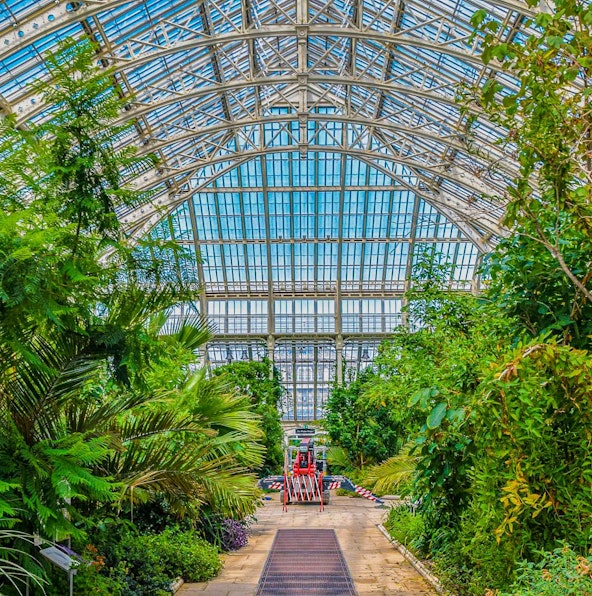 How to reach, timings, and tips to visit Kew Gardens London