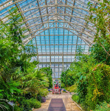 How to reach, timings, and tips to visit Kew Gardens London