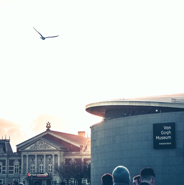 Top 3 Van Gogh Museum guided tours