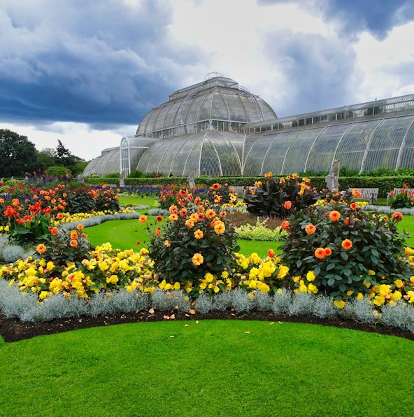 Read about the best of Kew Gardens guided tours in London