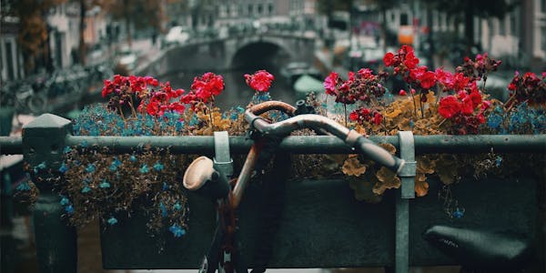 best time to visit amsterdam