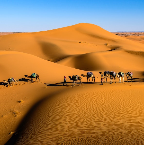 Discover camel rides & safaris in Dubai: Top tours for travelers