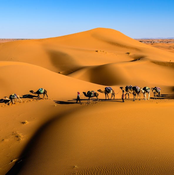 Discover camel rides & safaris in Dubai: Top tours for travelers