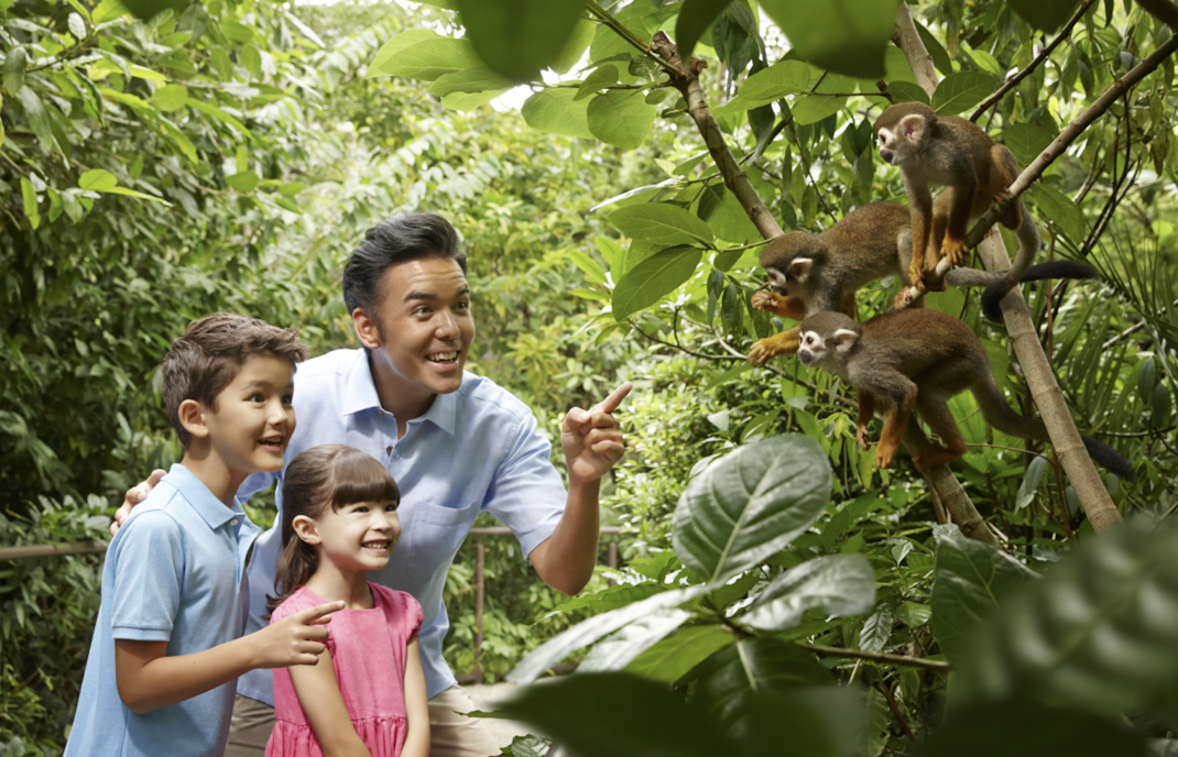 River Wonders Singapore Tickets