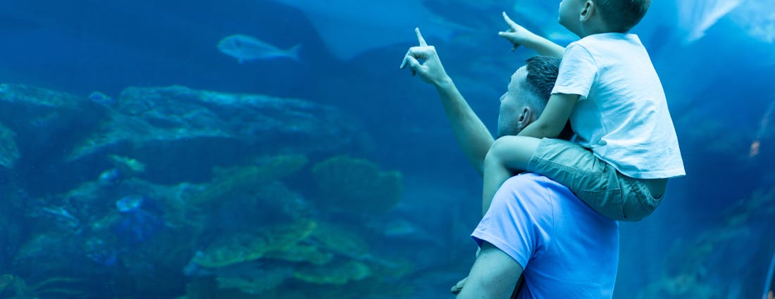 dubai mall guide