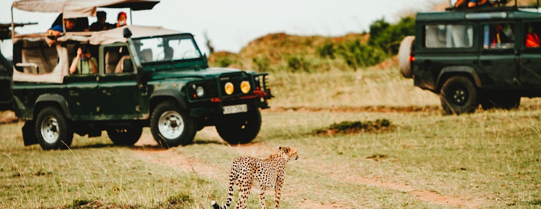 Dubai Safari Park
