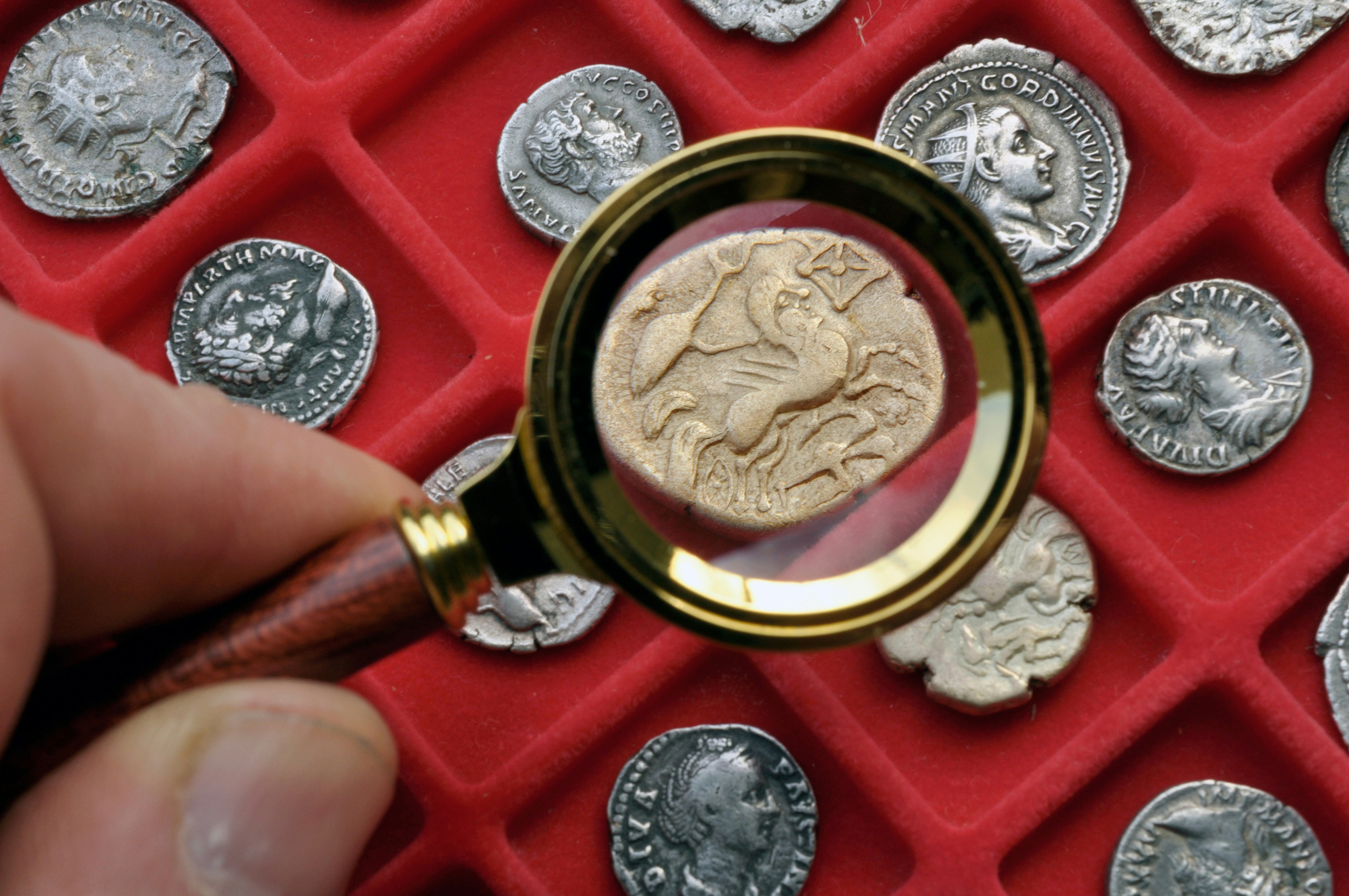 A collection of coins