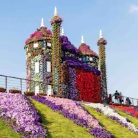 dubai miracle garden