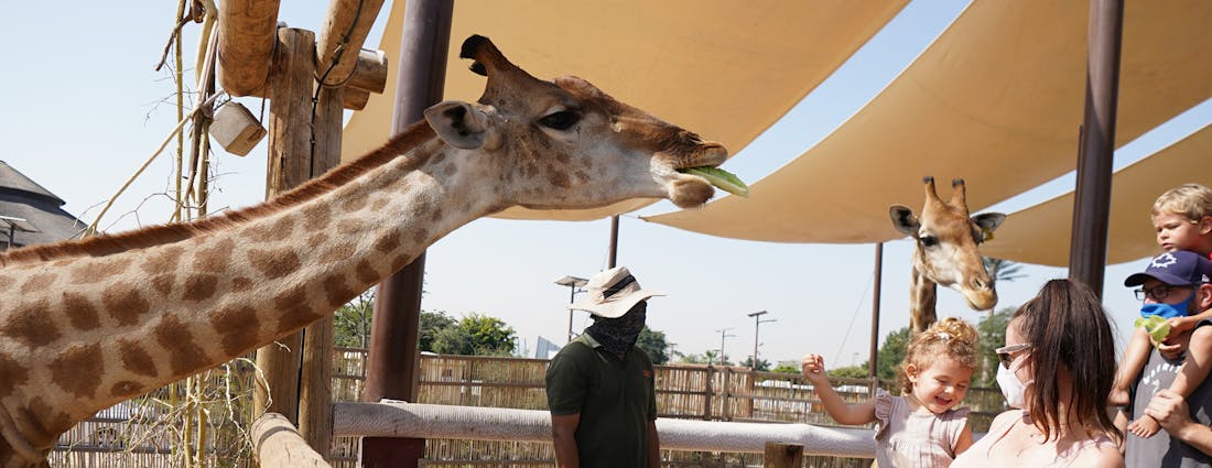 Dubai Safari Park