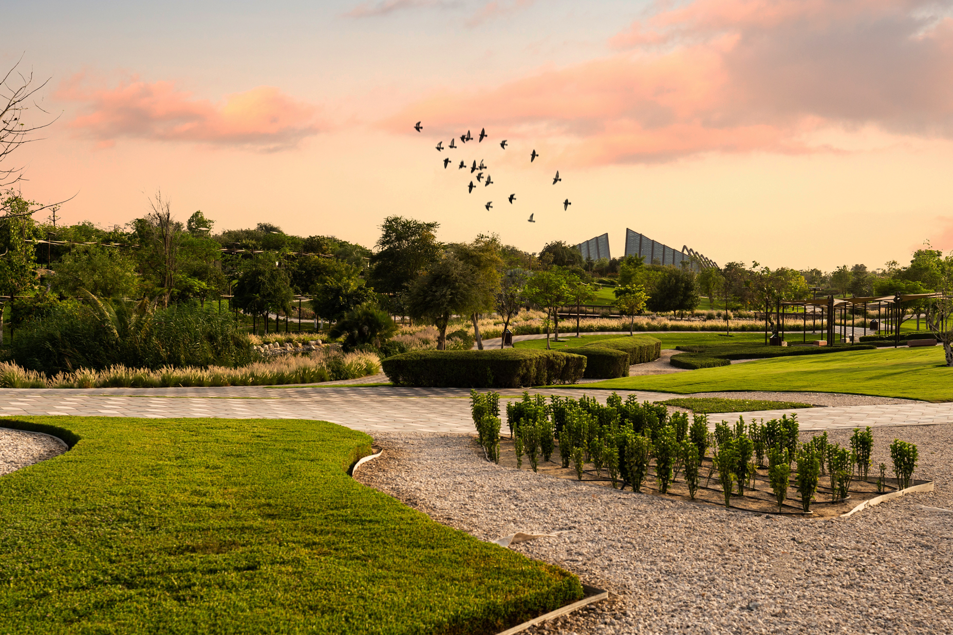 Dubai Safari Park: A guide to explore the exotic wildlife species in Dubai