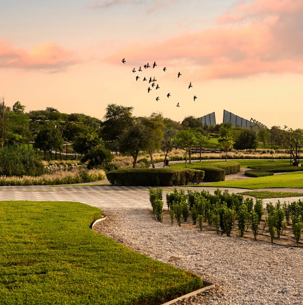 Dubai Safari Park: A guide to explore the exotic wildlife species in Dubai