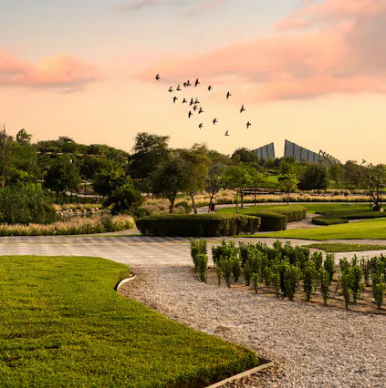 Dubai Safari Park: A guide to explore the exotic wildlife species in Dubai