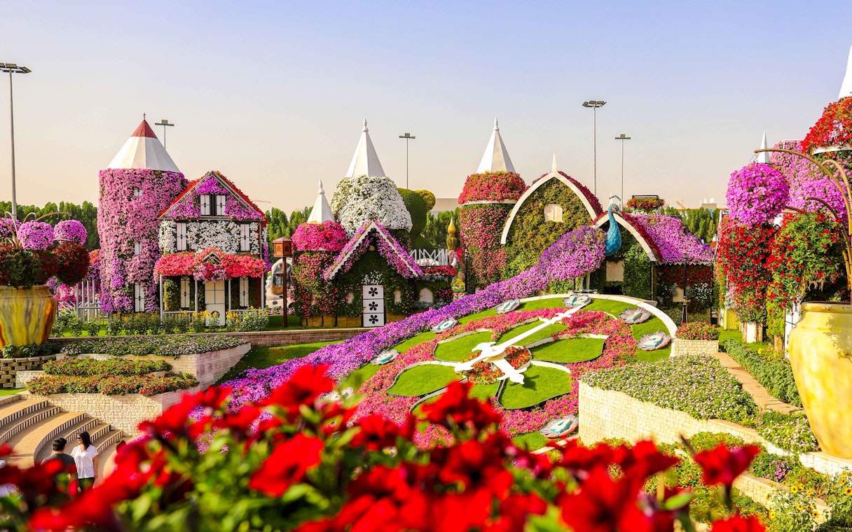 Floral clock at Dubai Miracle Garden with flower-covered structures.