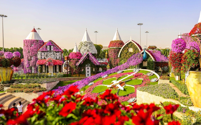 Floral clock at Dubai Miracle Garden with flower-covered structures.