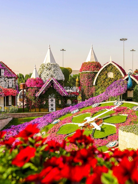Floral clock at Dubai Miracle Garden with flower-covered structures.