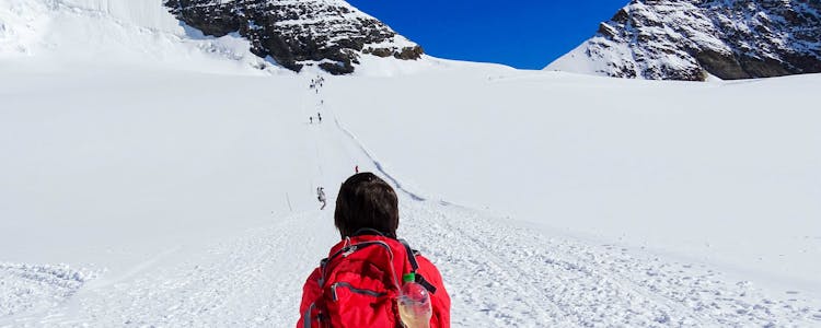 Jungfraujoch - Top of Europe