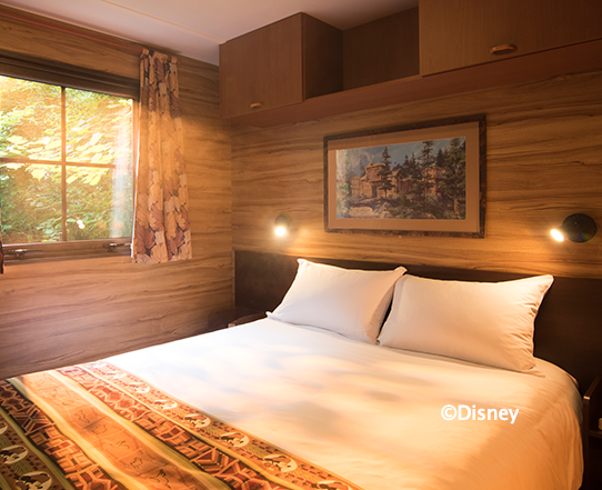 Disneyland Paris skip the line